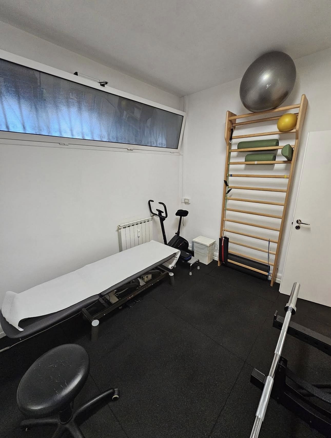 Fisioterapia specialistica — esercizio